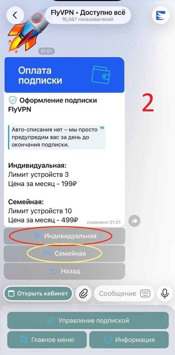 Выбор типа подарочной подписки FlyVPN